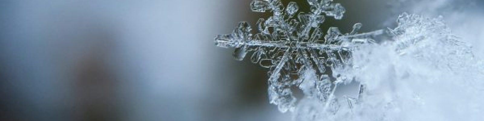 5aiwn2u10cw-600x450-1