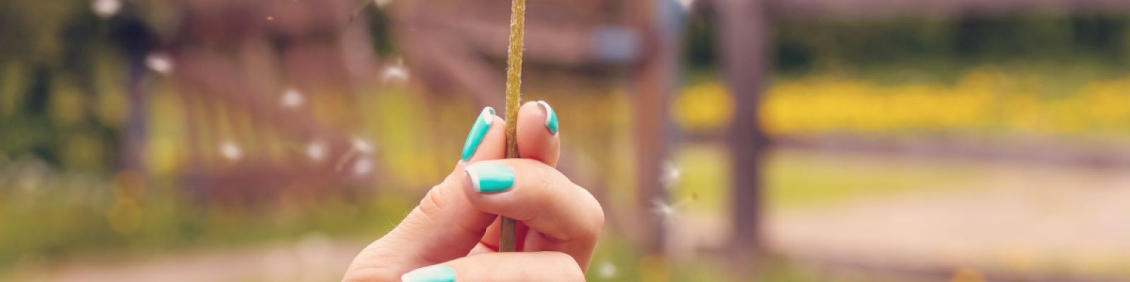 Pollen