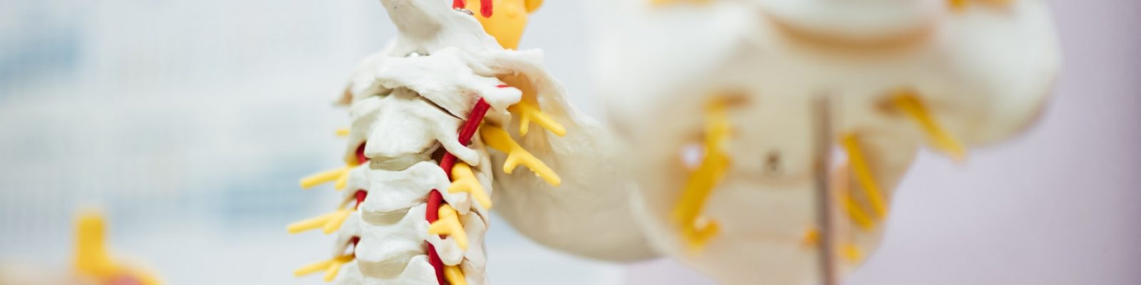 back-pain